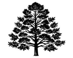 abeto árbol xilografía valores vector