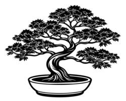 bonsai árbol aislado en blanco vector