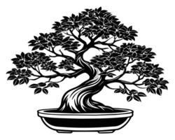 bonsai árbol aislado en blanco vector