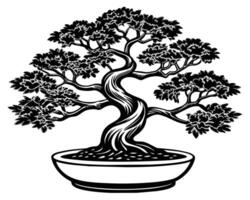 bonsai árbol aislado en blanco vector