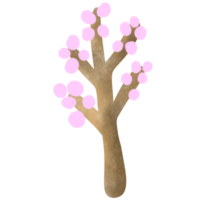 sakura albero nel primavera png