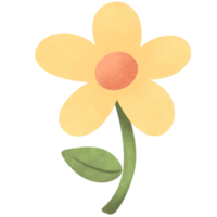 Yellow flower in spring png