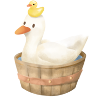 Duck in spring png