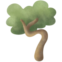 un' albero nel primavera png