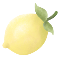 Lemonade in summer season png