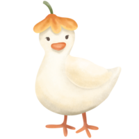 Duck with a wooden flower on head. png