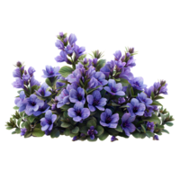 lila Blume Busch isoliert. lila Blumen isoliert png