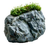 Green moss on a stone isolated. Rock with forest moss isolated. Rock with wild forest grass and nature png