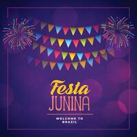 festa junina event celebration holiday background vector