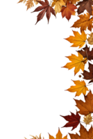 dry leaves frame border transparent background png