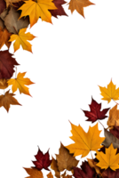 dry leaves frame border transparent background png