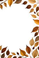 dry leaves frame border transparent background png