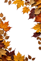 dry leaves frame border transparent background png