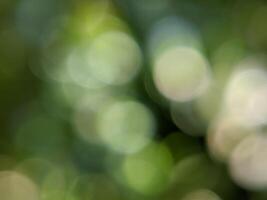 Blur abstract background of nature environment concept photo