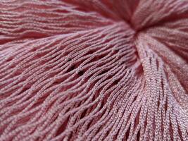 Macro of red net texture photo