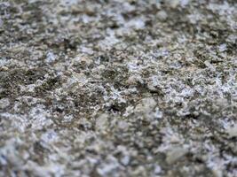 Extreme macro of stone texture photo