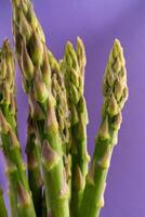 Vibrant green asparagus contrast beautifully against a rich purple background. Perfect for culinary concepts or healthy lifestyle designs. photo