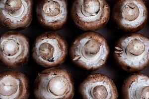 recién cosechado Portobello hongos arreglado en un rústico montón, Perfecto para culinario o con temas de la naturaleza foto