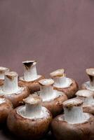 Fresh Portobello mushrooms against a rich brown background. Perfect for culinary or nature-themed designs. photo