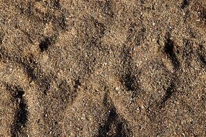 Macro Shot, Intricate Ground Texture Close Up. photo