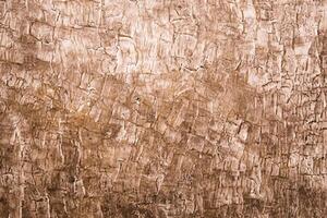 Full frame Rustic Wooden Texture Background. photo