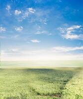 Fresco verde césped con cielo antecedentes. foto