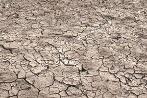 Drought Crisis, Cracked Earth Background. photo