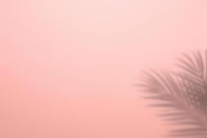 Tropical Shadows, Palm Leaves Silhouetted Against Pink Wall Background. photo