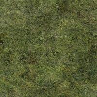Versatile Grass Texture Seamless Material Map, Perfect for Materials, Backgrounds, and Commercial Use. photo