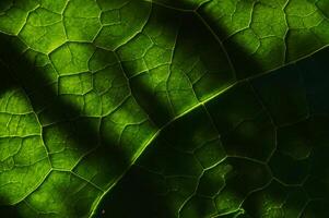 Nature's Tapestry, Beautiful Leaf Pattern Background. photo