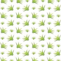 Aloe vera sensible de moda multicolor repitiendo modelo ilustración antecedentes diseño vector