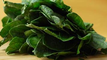 Fresh spinach leaves on table , video