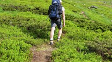 Mens wandelingen langs de bergen naar de top. reizen concept actief mensen Aan de manier naar zege Actie vooruit dichtbij omhoog. toerist in laarzen gaan langs de steen weg Aan de achtergrond een mooi landschap video