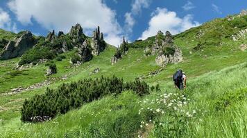 Mens wandelingen langs de bergen naar de top. reizen concept actief mensen Aan de manier naar zege Actie vooruit dichtbij omhoog. toerist in laarzen gaan langs de steen weg Aan de achtergrond een mooi landschap video