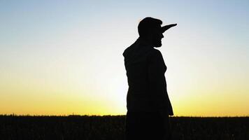 Silhouette of a farmer standing in a wheat field video