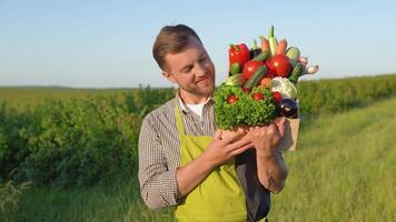 Happy farmer holding basket with fresh harvested vegetables and smiling in camera on countryside field. Concept. biological, bio products, bio ecology, vegetarian and vegan video