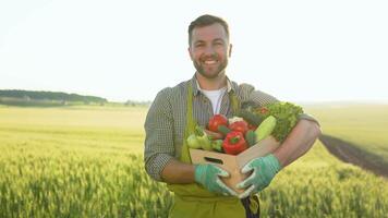 contento granjero participación cesta con Fresco cosechado vegetales y sonriente en cámara en campo campo. concepto. biológico, bio productos, bio ecología, vegetariano y vegano video