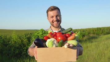 Successful farmer carrying basket of veg on a sunny day video