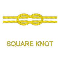 knotted rope icon with rope vector