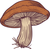 Pilz-Clipart-Design-Illustration png