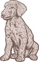 bedlington terrier clipart design illustrazione png