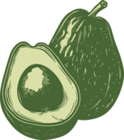 aguacate clipart diseño ilustración png