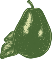 avocado clip art ontwerp illustratie png