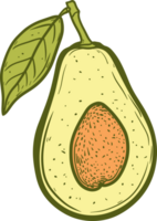 avocado clip art ontwerp illustratie png