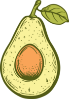 Avocat clipart conception illustration png