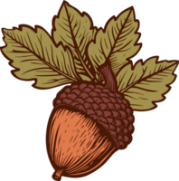 Acorn clipart design illustration png