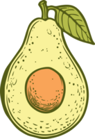 aguacate clipart diseño ilustración png