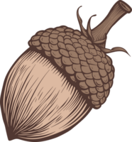 Acorn clipart design illustration png