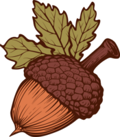 Acorn clipart design illustration png