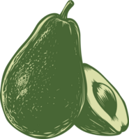 Avocado clipart design illustration png